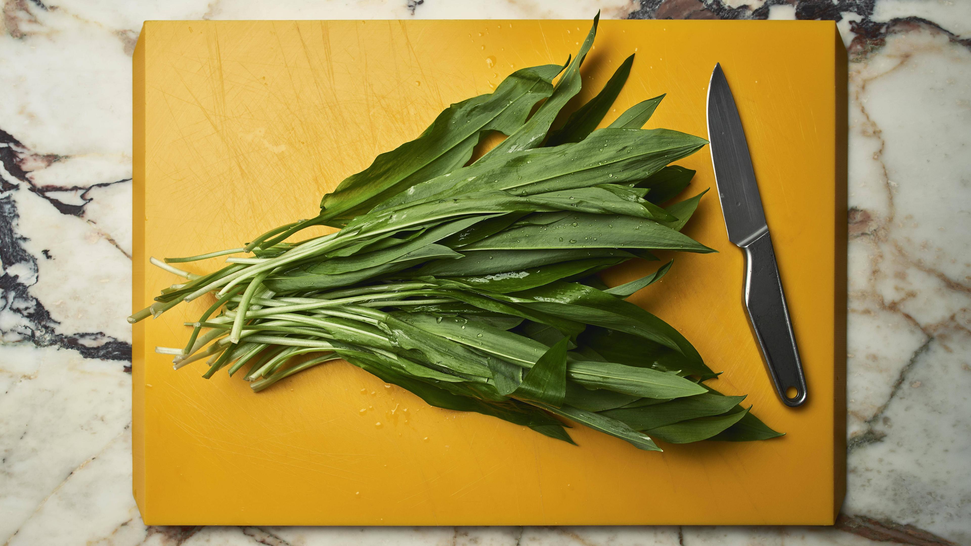 Bärlauch-Rezepte