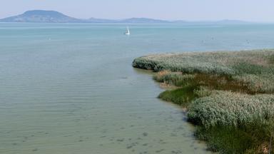 Wie Niedrigwasser am Balaton den Tourismus bedroht