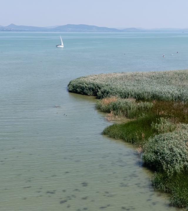 See Balaton