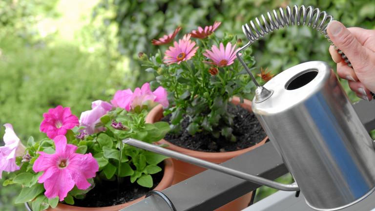 Blumen werden auf einem Balkon mit Gießkanne gegossen.