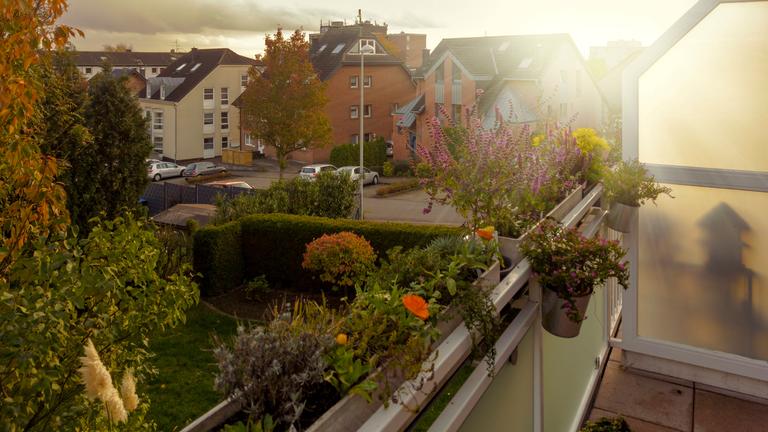 Blick auf einen Balkon mit verschiedenen Pflanzen in der Herbstsonne