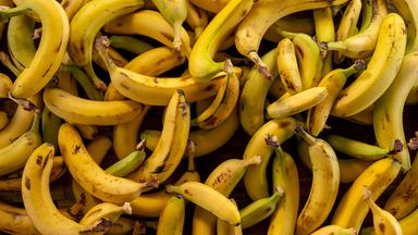 Bananen