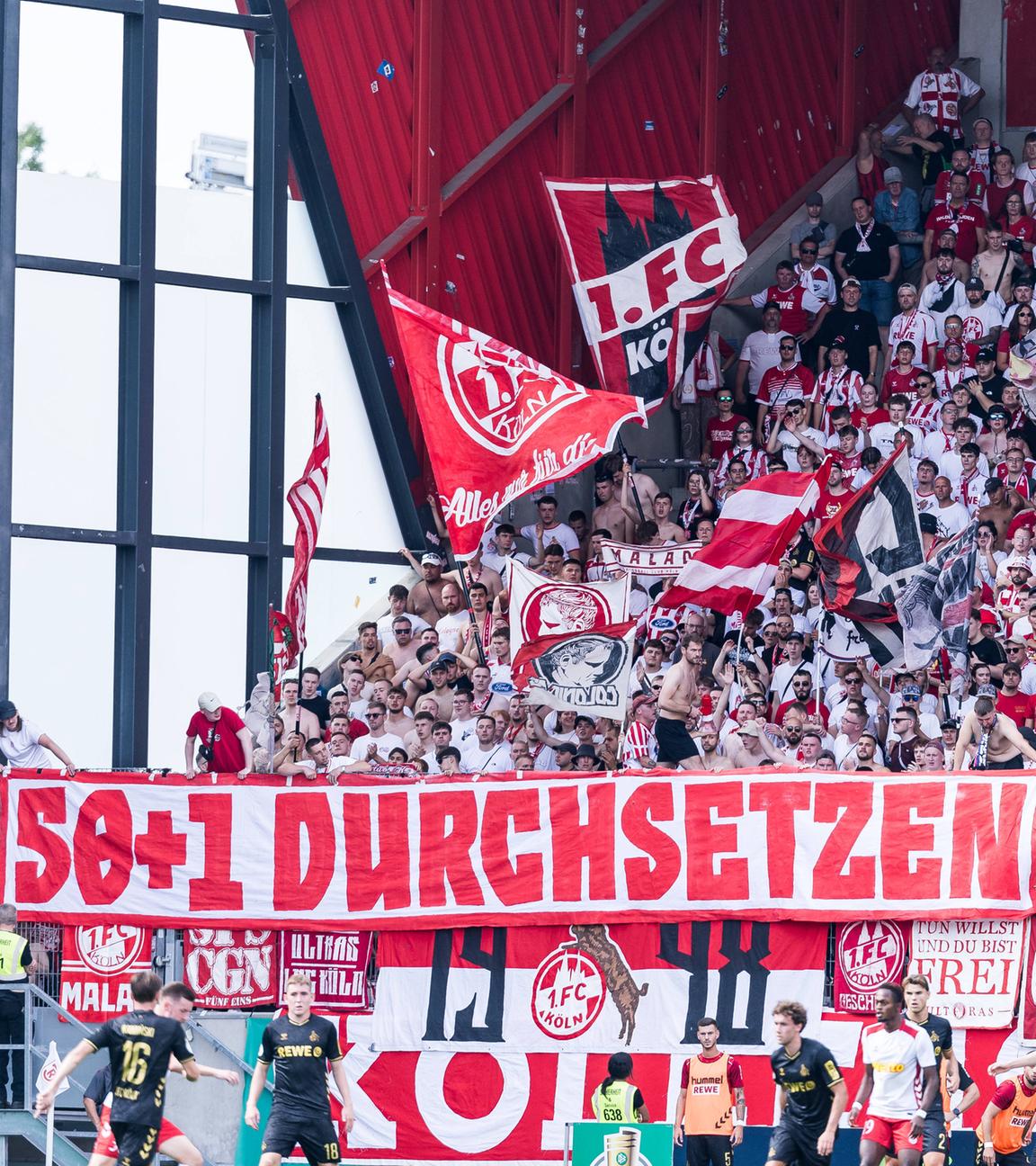 Banner in der Gastkurve des 1. FC Köln "50+1 Durchsetzen"