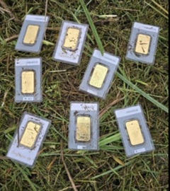 In Bannewitz liegen auf einer Wiese acht kleine Goldunzen.