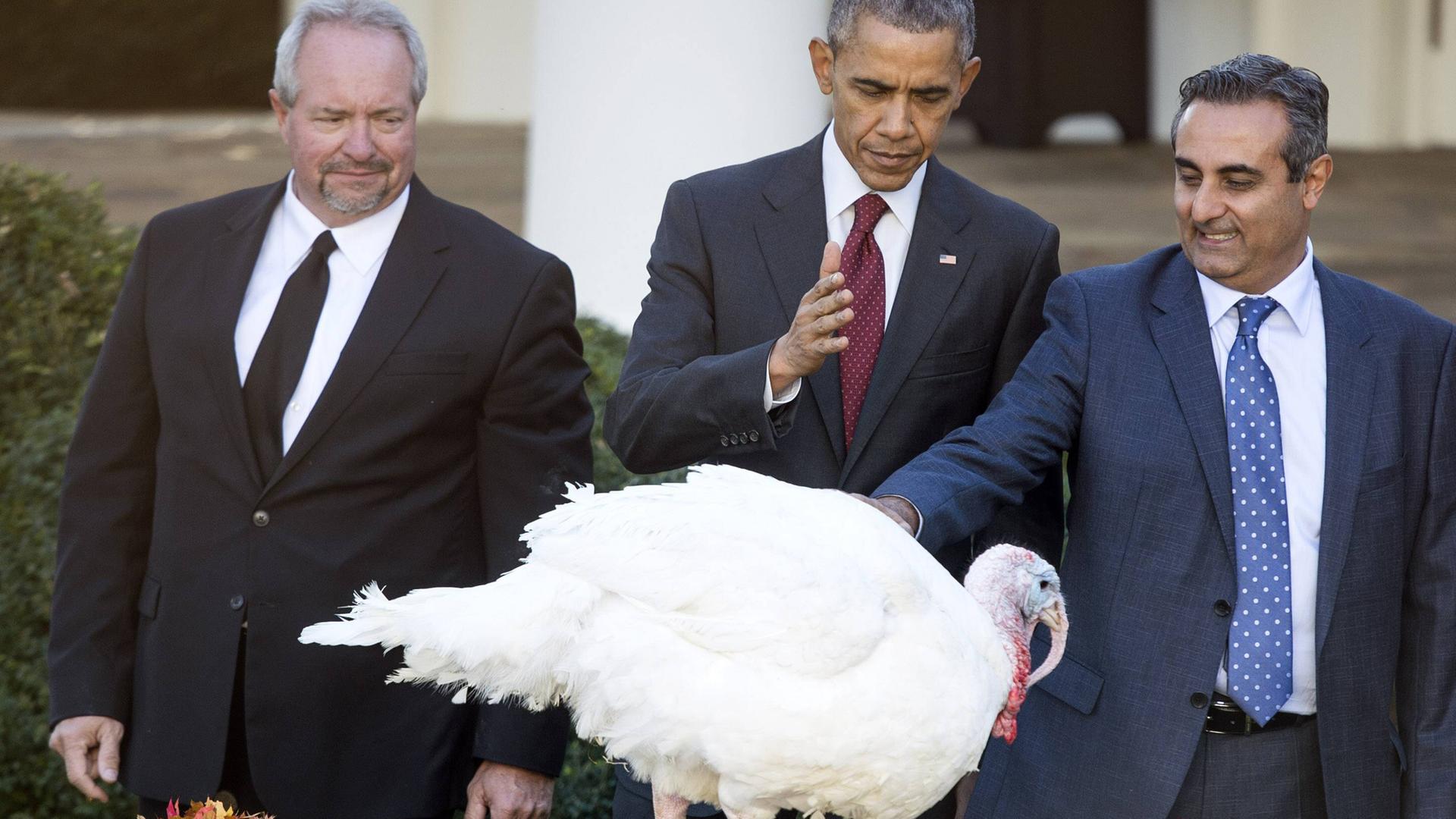 Barack Obama - Thanksgiving 2015