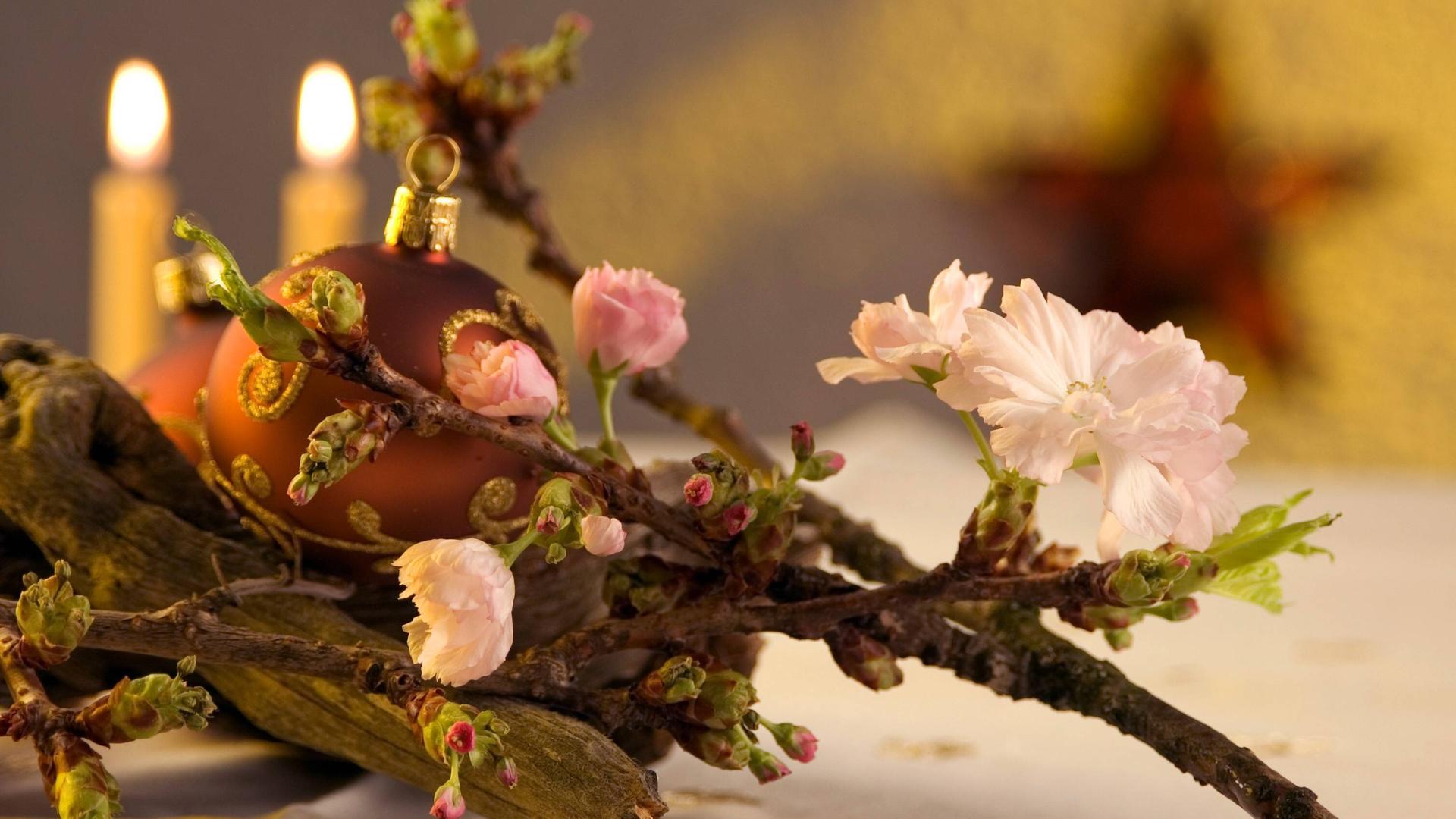 Blühender Barbarazweig mit Dekoration