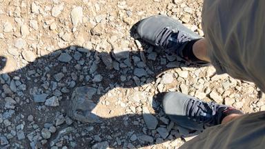 Frau auf einem Spazierweg mit Barfußschuhen unterwegs