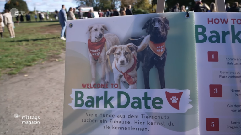 bark-date