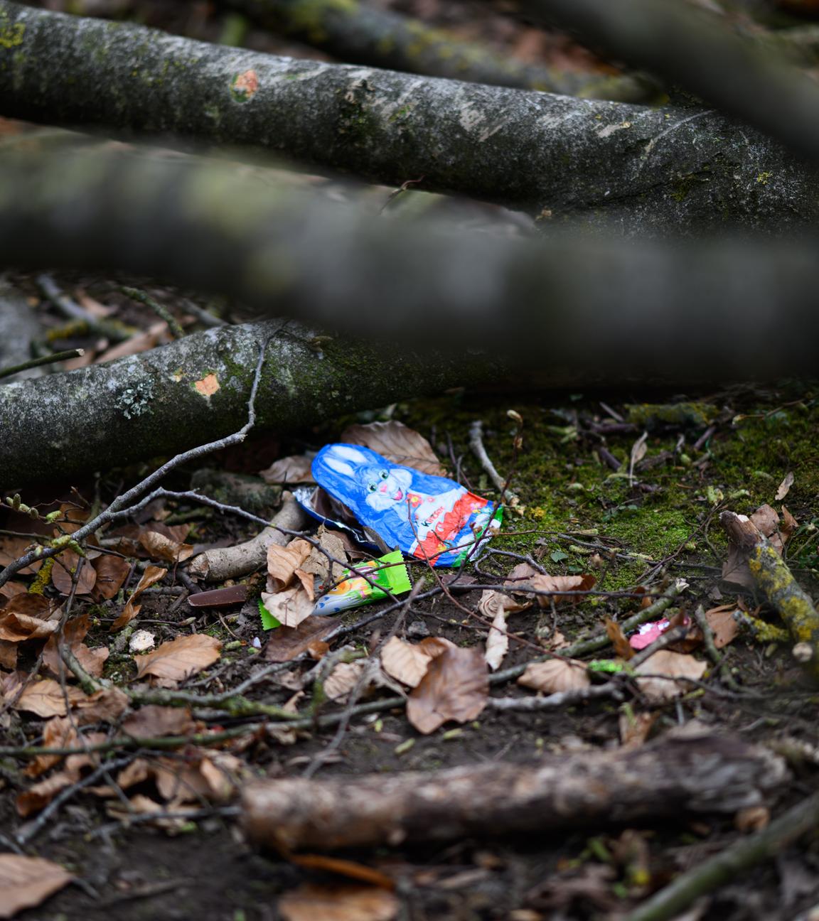 Flensburg: Bei der Ostereiersuche wurden eine junge Mutter, ihr Baby und eine 16-Jährige von einem umstürtzenden Baum erschlagen. 