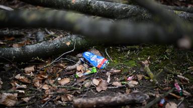Flensburg: Bei der Ostereiersuche wurden eine junge Mutter, ihr Baby und eine 16-Jährige von einem umstürtzenden Baum erschlagen. 