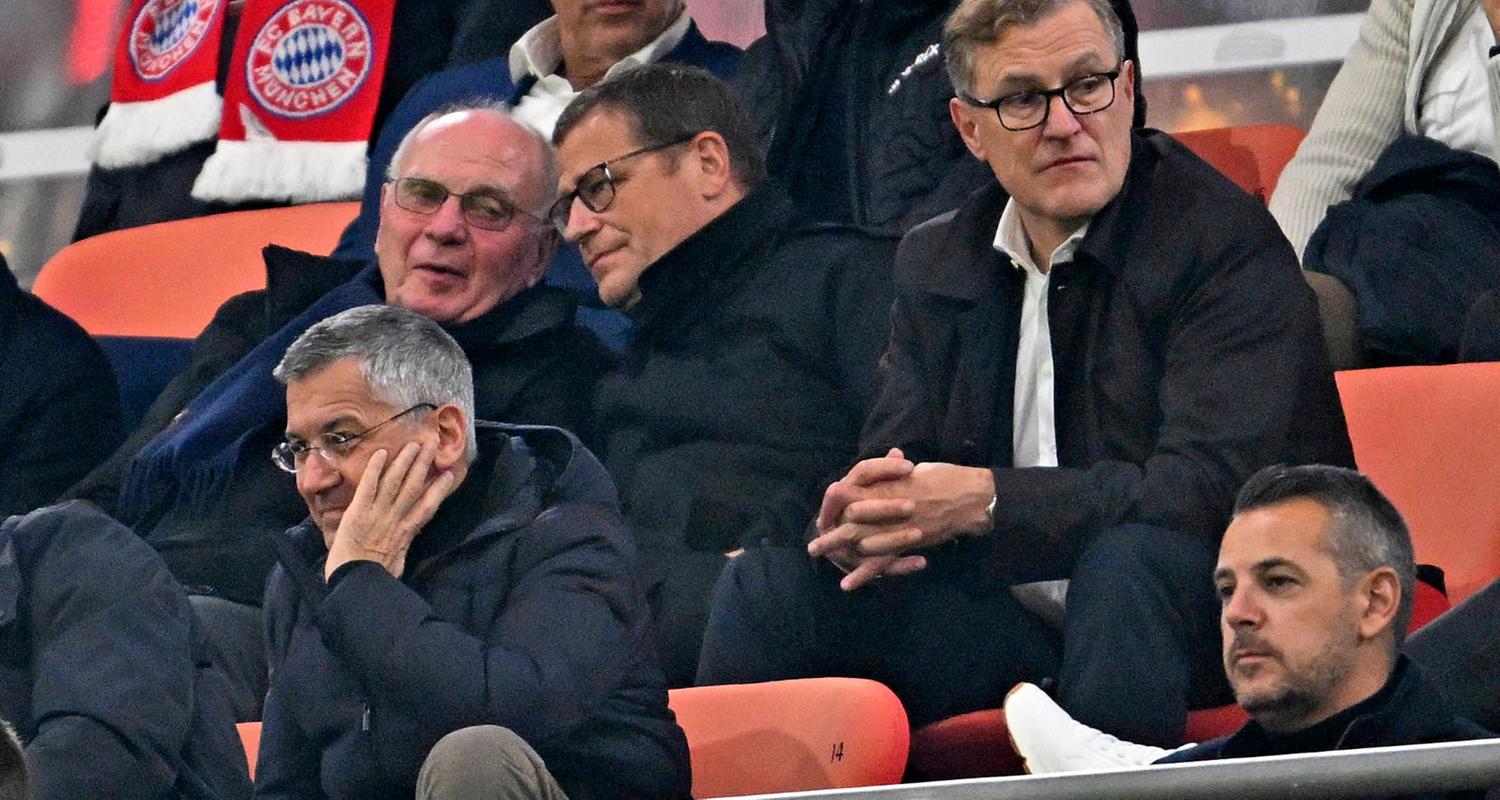 Ehrenpräsident Uli Hoeneß, FC-Bayern-Sportvorstand Max Eberl und Vorstandsvorsitzender Jan-Christian Dreesen (von links) sitzen auf der Tribüne und verfolgen das Spiel gegen FC Brügge. Unten Präsident Herbert Hainer