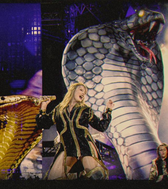 Taylor Swift steht in einem schwarzen, goldverzierten Bühnenkostüm vor zwei großen, aufgerichteten Schlangenfiguren auf einer Bühne.