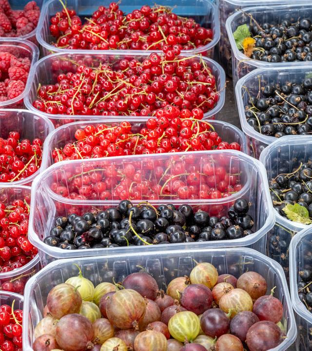 Verschiedene Arten von Beeren in kleinen Schälchen in einer Auslage