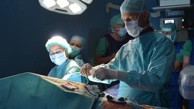 Mehr als 3.000 medizinische Behandlungsfehler wurden vergangenes Jahr in Deutschland gezählt. Doch die Dunkelziffer liegt vermutlich deutlich höher.