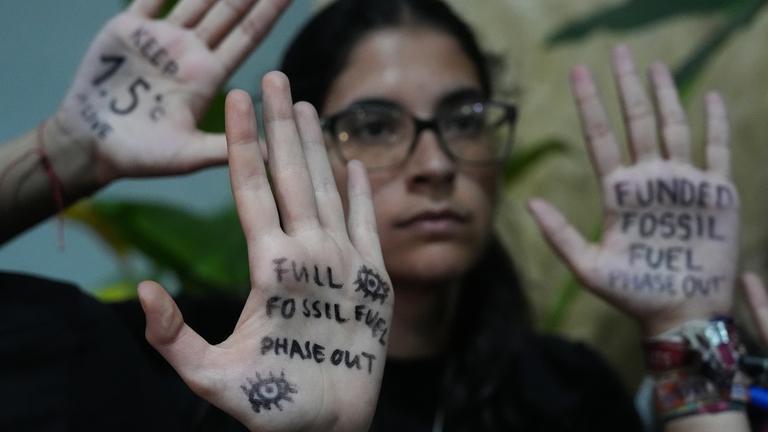 Weltklimakonferenz COP30