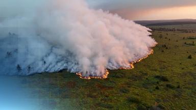 Ticker Waldbrand: Feuerwehr gibt Entwarnung für Monschau