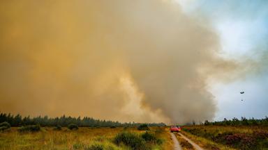 Die belgische Feuerwehr bekämpft den Brand in der Hochmoor- und Sumpflandschaft Hohe Venn unweit der deutschen Grenze.