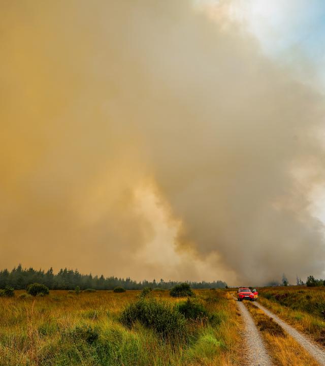 Die belgische Feuerwehr bekämpft den Brand in der Hochmoor- und Sumpflandschaft Hohe Venn unweit der deutschen Grenze.