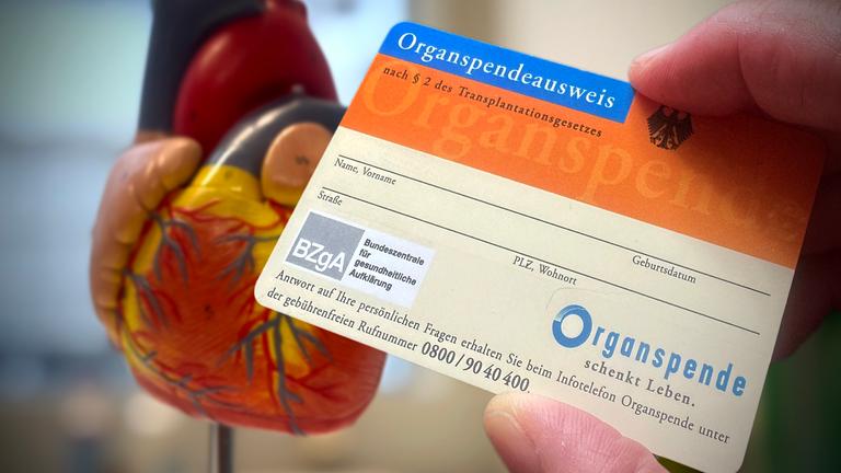 Ein Organspendeausweis ist zu sehen.
