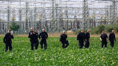 Polizisten suchen wegen der möglichen Sabotage in der Umgebung des Umspannwerkes des Netzbetreibers Amprion in Bergheim ein Rübenfeld ab. 