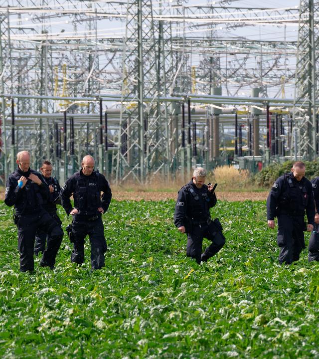 Polizisten suchen in der Umgebung des Umspannwerkes des Netzbetreibers Amprion in Bergheim ein Rübenfeld ab. 