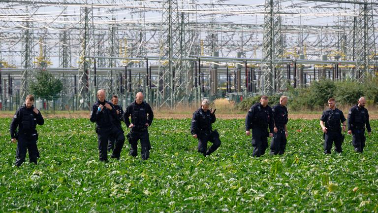 Polizisten suchen in der Umgebung des Umspannwerkes des Netzbetreibers Amprion in Bergheim ein Rübenfeld ab. 