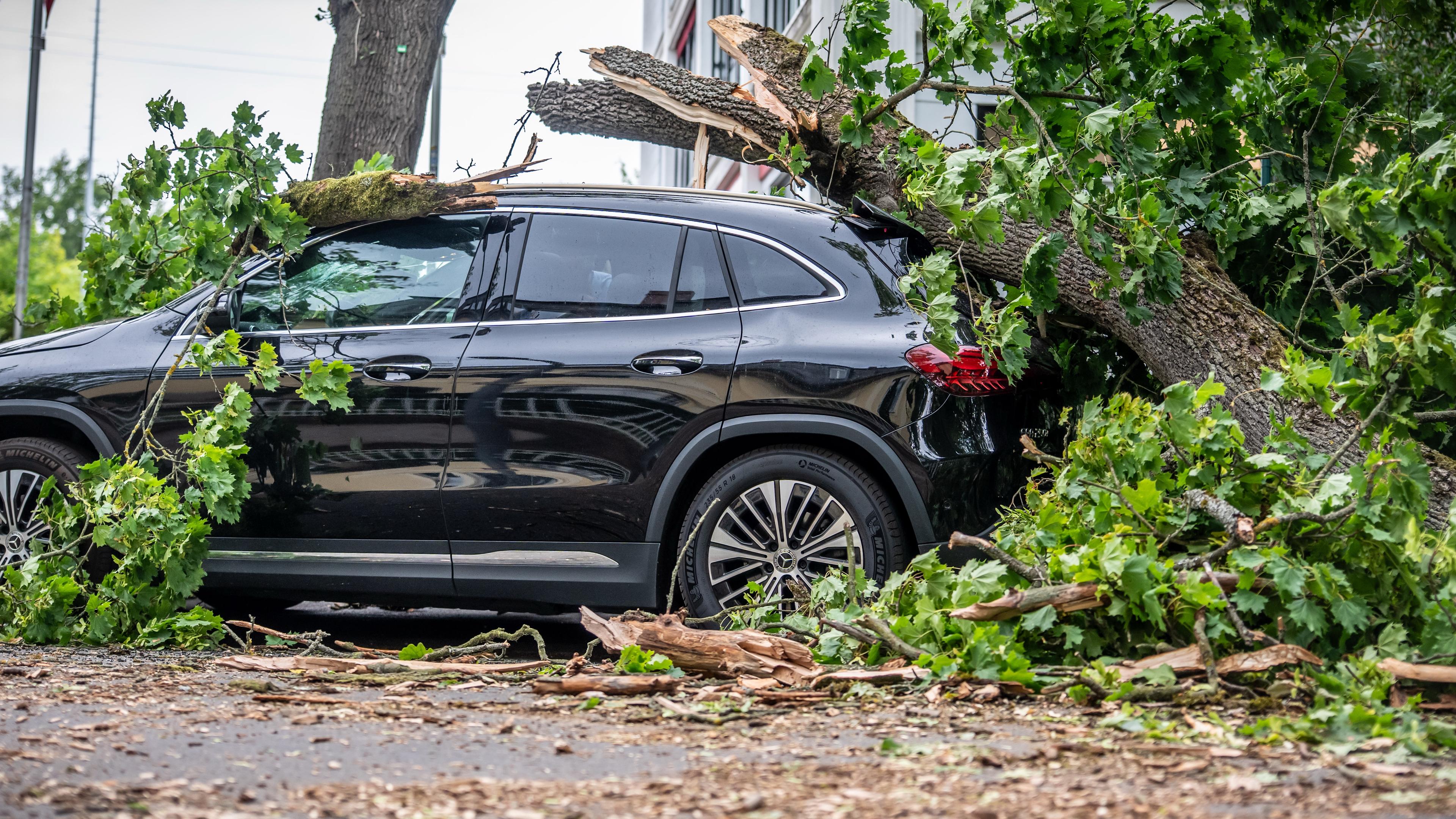 Ein vom Sturm abgebrochener Baum liegt auf einem Auto in der Trabener Straße im Westen von Berlin.
