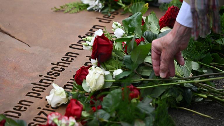 Ein Mann legt während der Übergabe eines temporären Denkmals zur Erinnerung an die polnischen Opfer des Zweiten Weltkriegs und der deutschen Gewaltherrschaft eine Rose am Denkmal ab