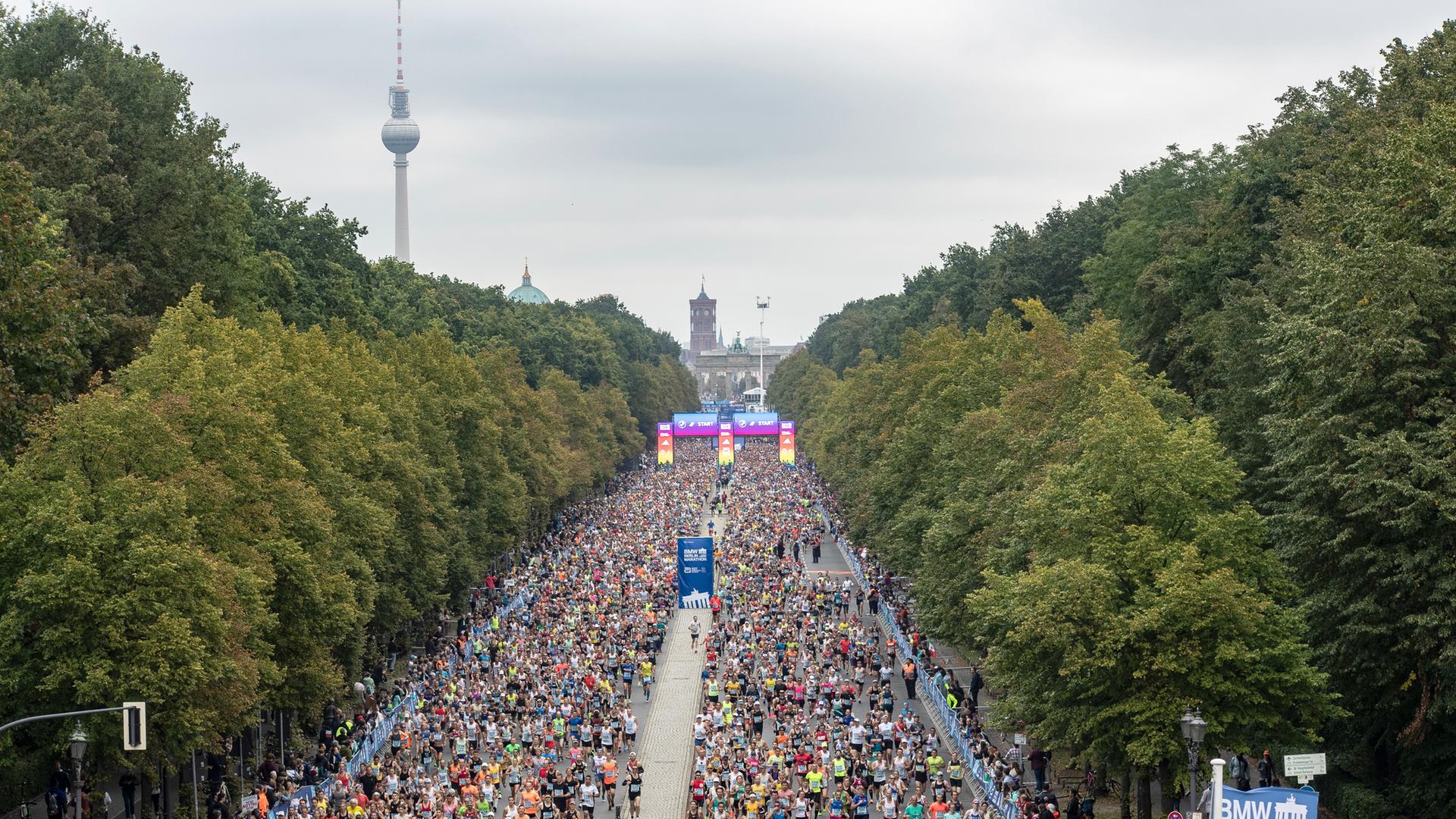 Ein Teil des Starterfelds beim Berlin-Marathon 2023.