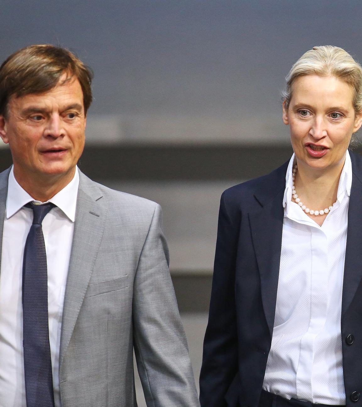 Bernd Baumann und Alice Weidel von der AfD am 06.11.2025 im Bundestag in Berlin.
