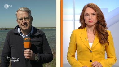 bernd-mosebach
