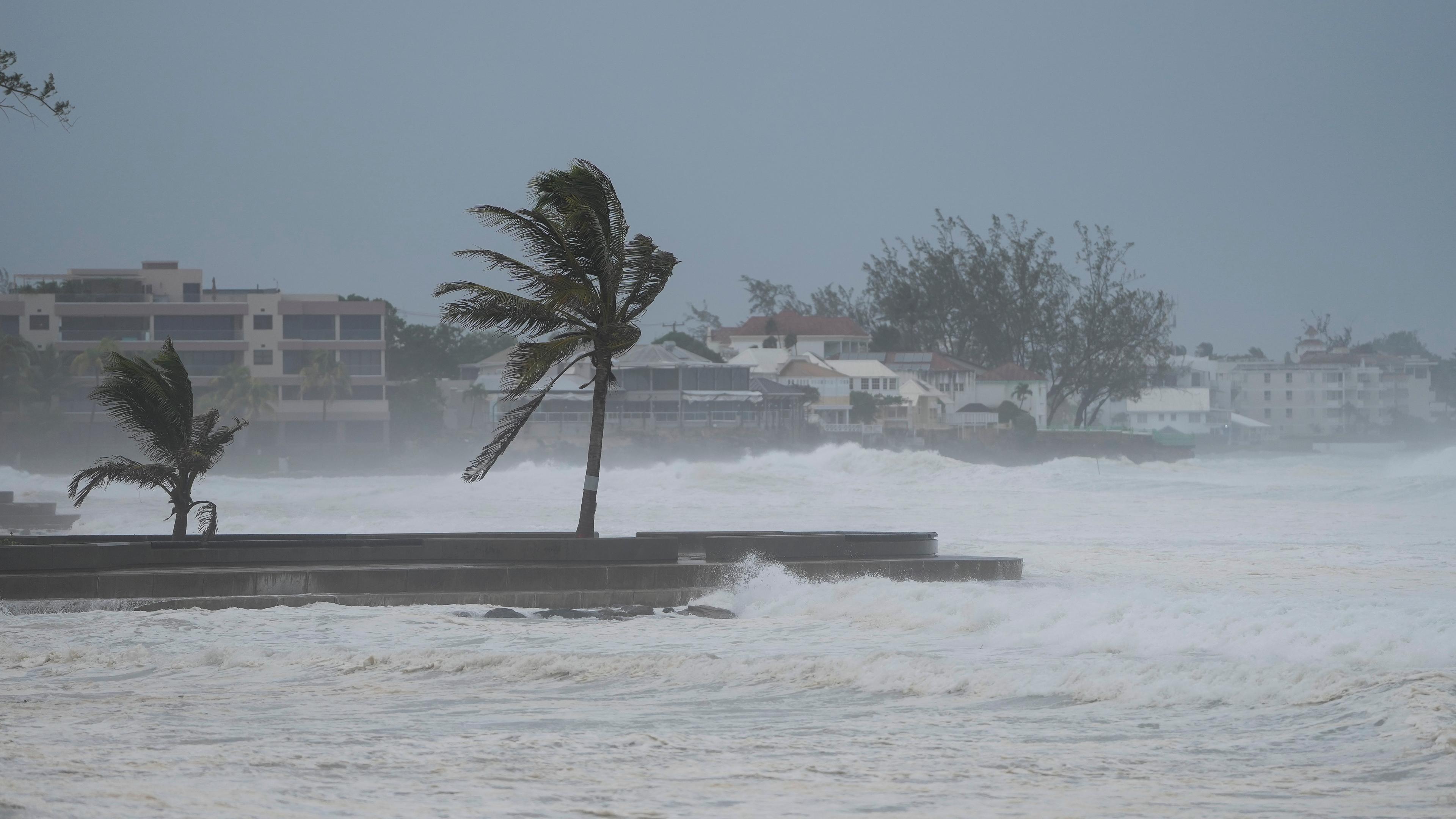 Stürmisches Meer, Palmen im Wind