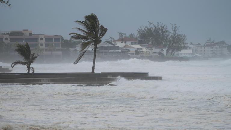 Stürmisches Meer, Palmen im Wind