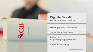 Geplante Straftatbestände