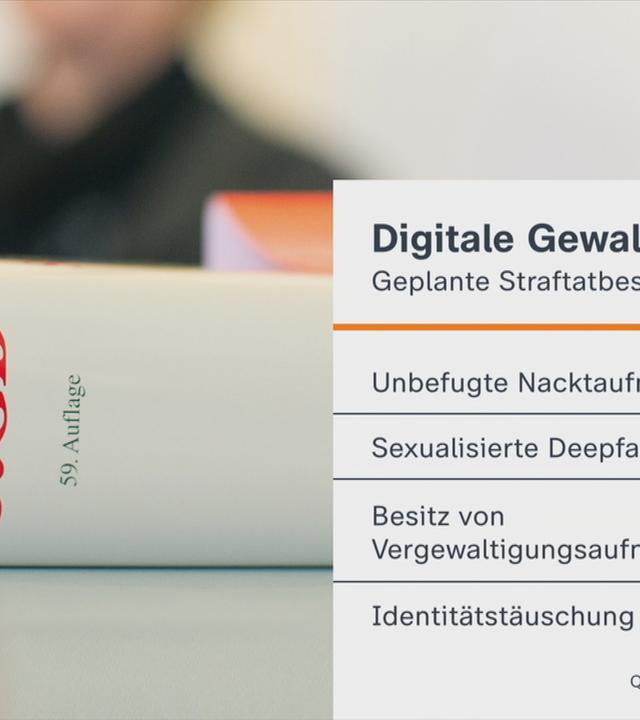 Geplante Straftatbestände