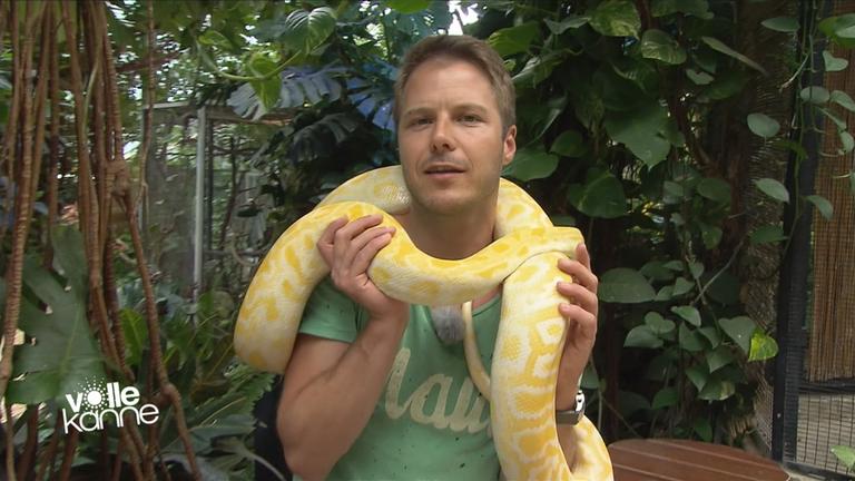 Besserwisser Florian Weiss mit Schlange