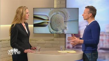 Carmen Grebe, Fachanwältin für Familienrecht, und Moderator Carsten Rüger im "Volle Kanne"-Studio.
