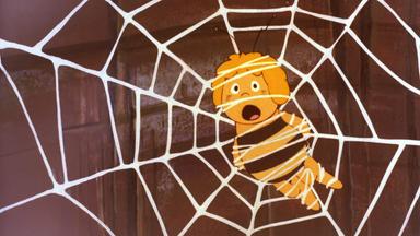 Bienenmädchen Maja ist in einem Spinnennetz gefangen.