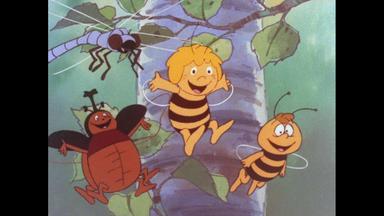 Bild aus "Die Biene Maja - Der Waldbrand". Die Insekten des Waldes freuen sich, dass das Feuer endlich gelöscht ist. 