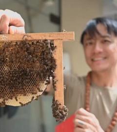 Mann, der sich im Hintergrund des Bildes befindet, hält lächelnd einen Teil einer Bienenwabe in die Kamera, an der viele Bienen krabbeln