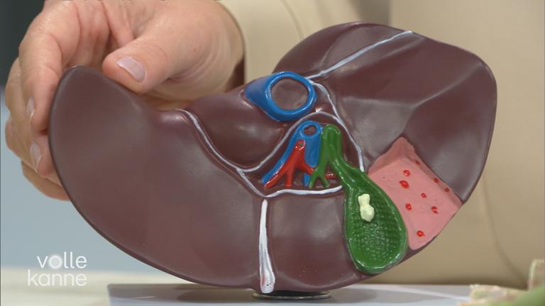 Richtige Ernährung für Leber & Galle