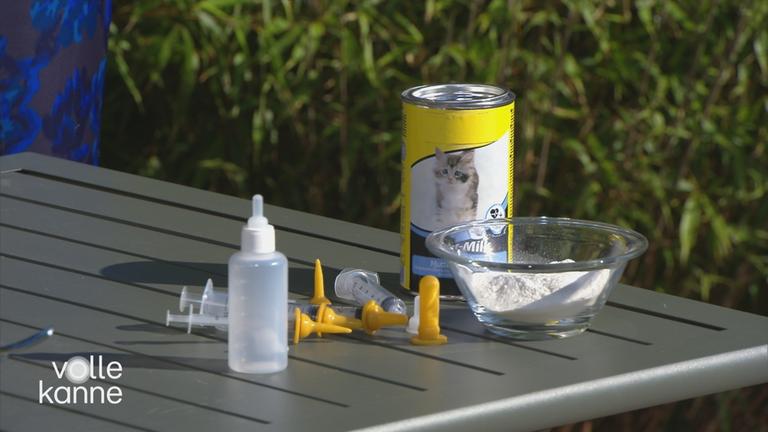 Fundtiere richtig versorgen