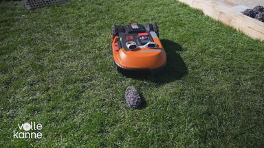 So sollen Mähroboter sicherer für Igel werden