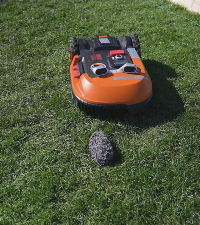 So sollen Mähroboter sicherer für Igel werden
