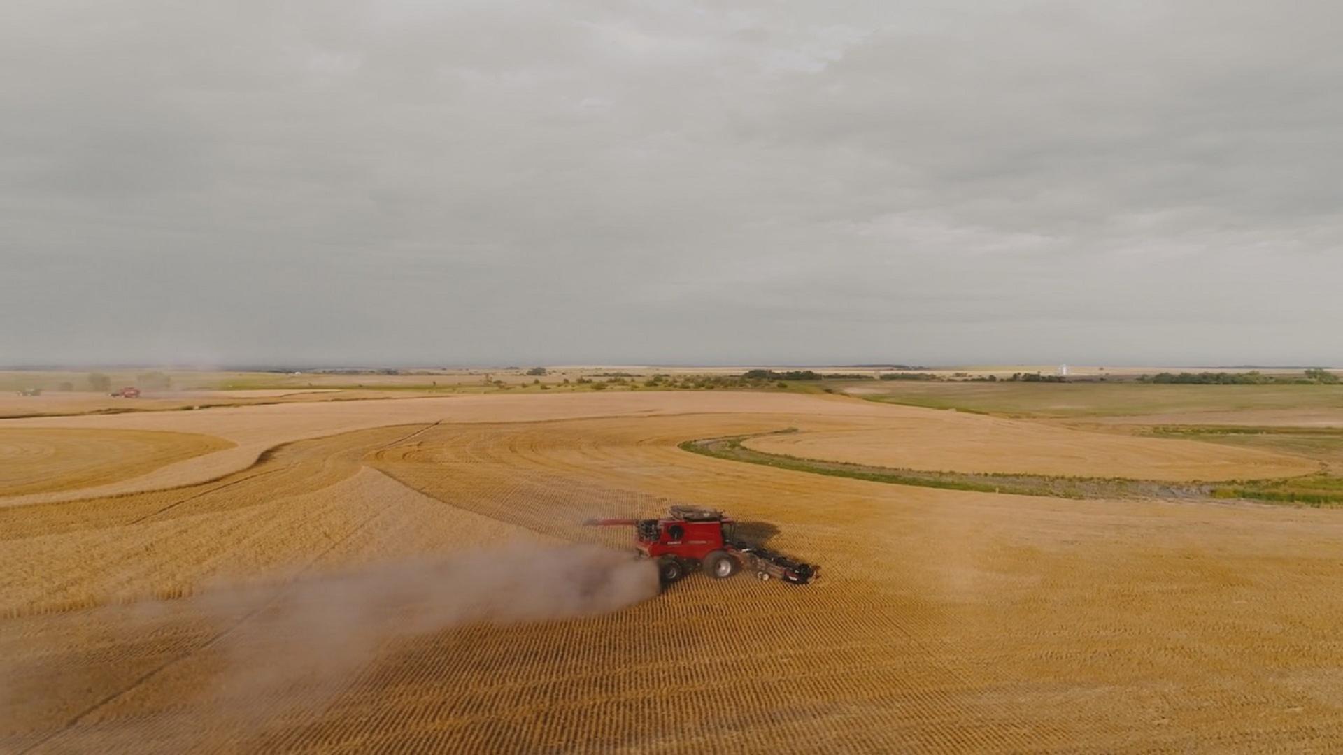 Die "Great Plains" sind die Kornkammer der USA. Hier gedeihen Weizen und Mais. 