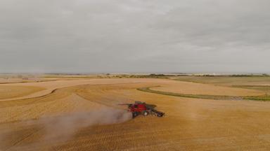 Die "Great Plains" sind die Kornkammer der USA. Hier gedeihen Weizen und Mais. 
