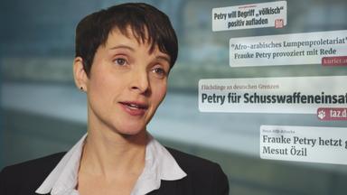 Frauke Petry, AfD