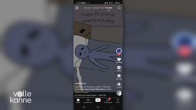 Bildschirmaufnahme von TikTok