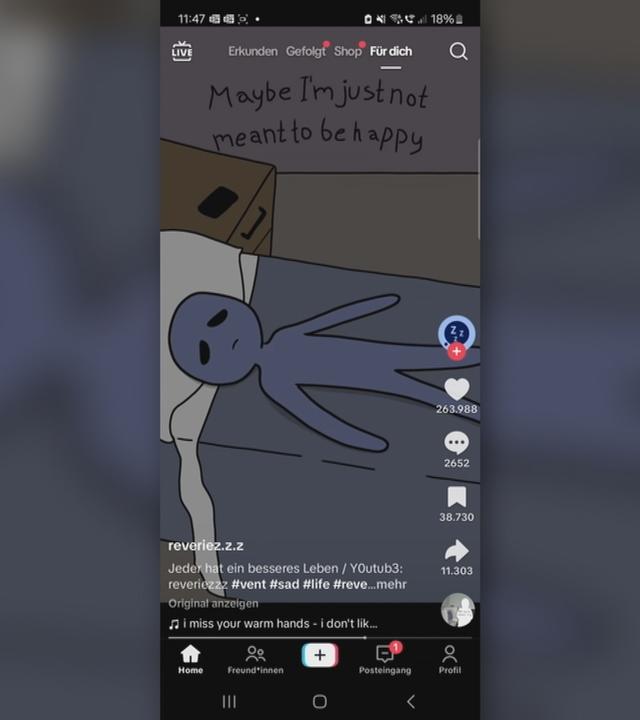 Bildschirmaufnahme von TikTok