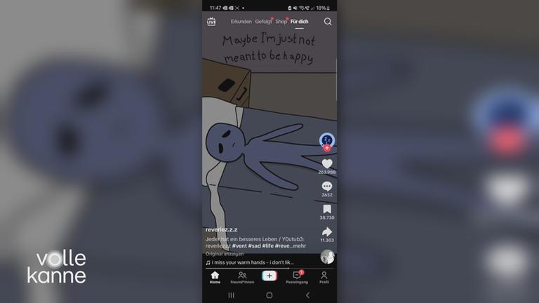 Bildschirmaufnahme von TikTok